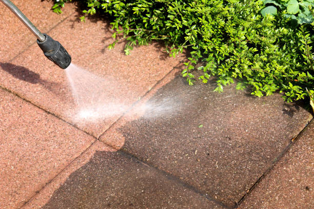 Best Best Pressure Washing Companies  in Spring Lake Heights, NJ
